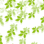 Schmuckpapier »Jiaogulan« von Olionatura®