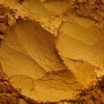 Pearlescent Mica Aztec Gold